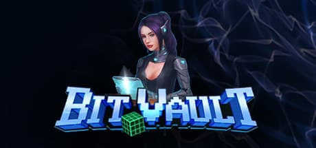 BitVault media 1