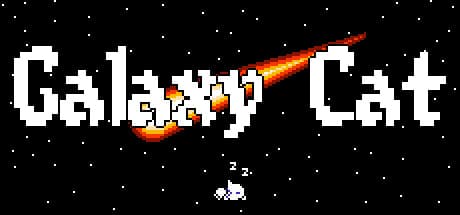 Galaxy Cat media 1