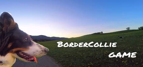 BorderCollie Game media 1
