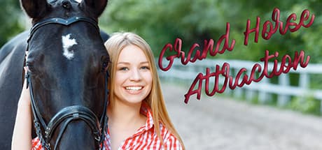 Grand horse attraction media 1