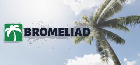 Bromeliad media 1