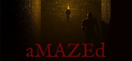 aMAZEd media 1