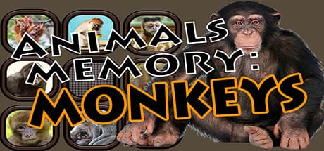 Animals Memory: Monkeys media 1