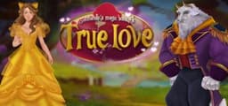 Amanda's Magic Book 4: True Love