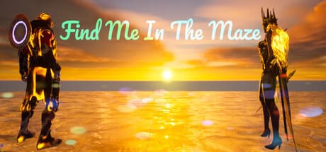 Find Me In The Maze media 1