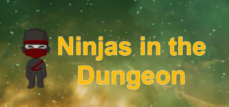 Ninjas in the Dungeon media 1