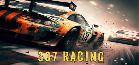 307 Racing media 1