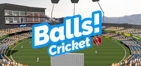Balls! Virtual Reality Cricket media 1