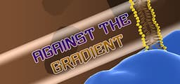 Against the Gradient