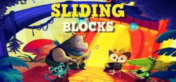 Sliding Blocks